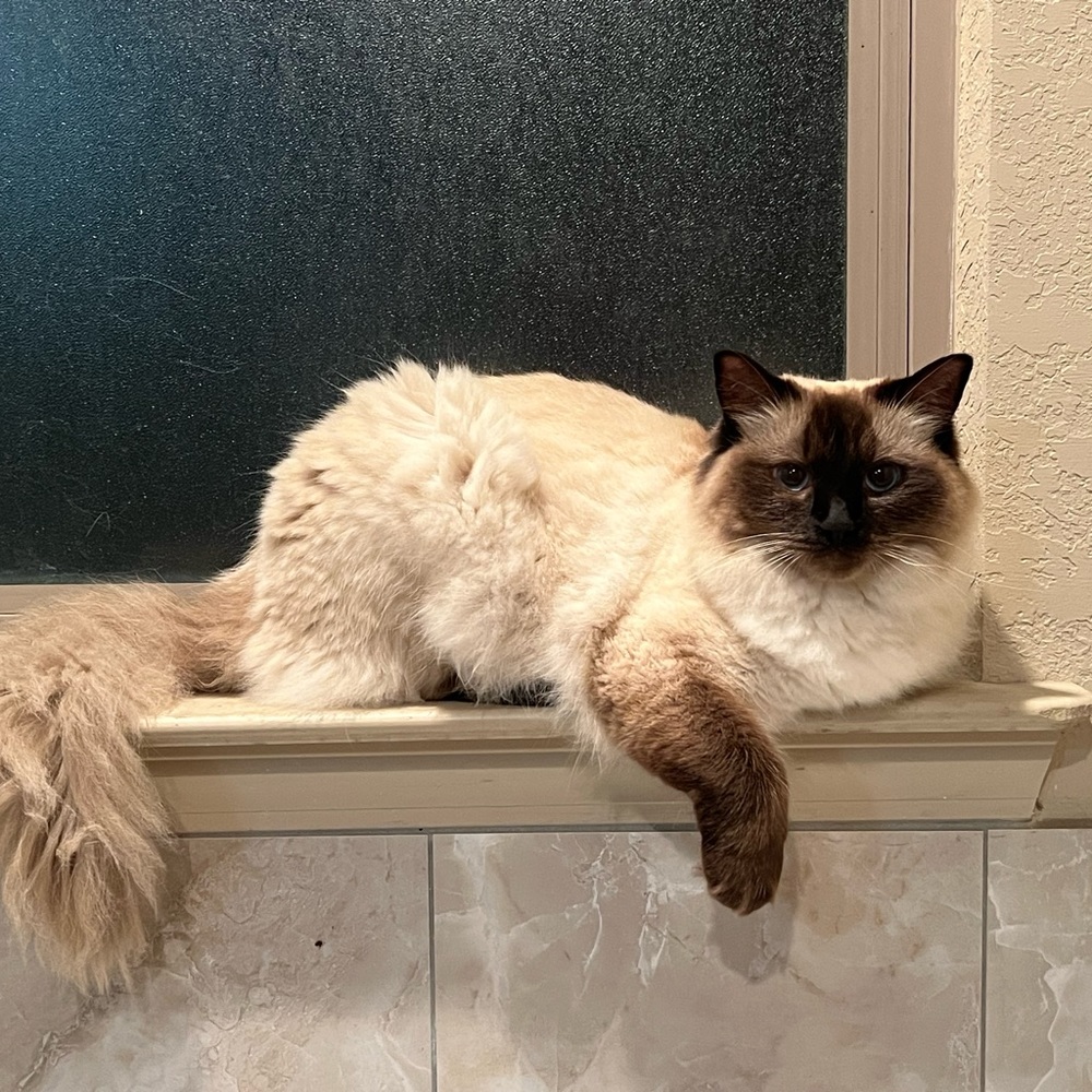 Meet your Posher, Kimberly